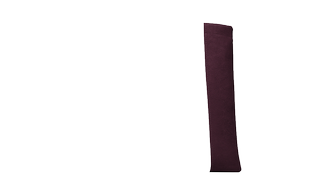 Eggplant