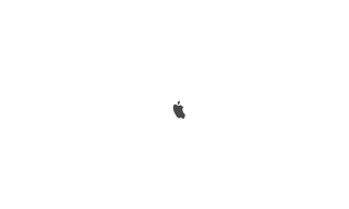 logo Original