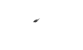 logo Original